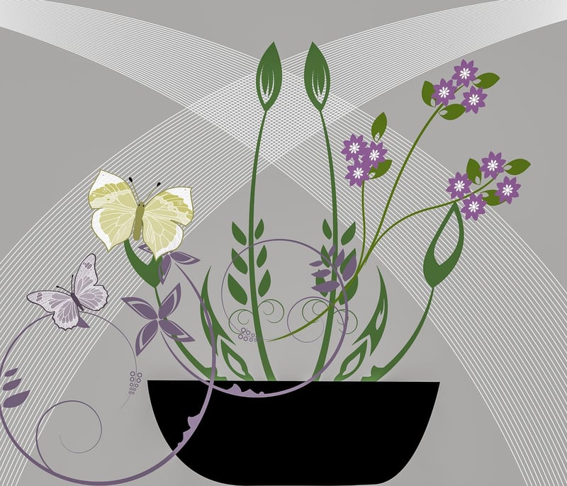 Container Plants